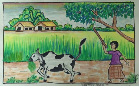 গো-ভিডিও