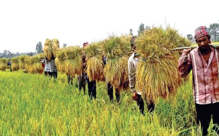 বেদনাভিসার