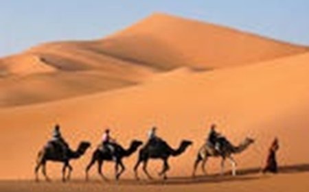 আরব জাতির উত্থান: এক বিষ্ময়কর ইতিহাস-পর্ব ৪