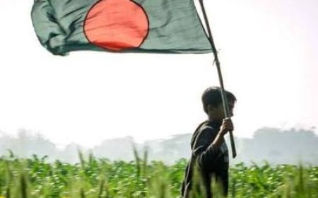 কবিতা- ভ্রান্ত স্বাধীনতা