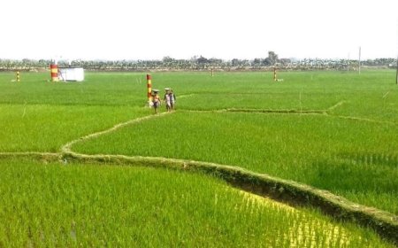 পরিবর্তীত সময় ও কবিতা ক্ষেত্র