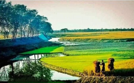 মাতৃভূমি