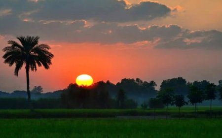 ভোর