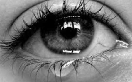 নিস্তব্ধতার আর্তনাদ