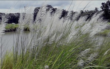 শরতে হেমন্তে বাংলাদেশ