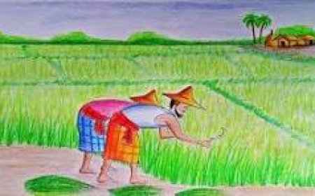 কর্ষিত বেদনা