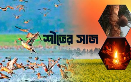 শীতের সাজ