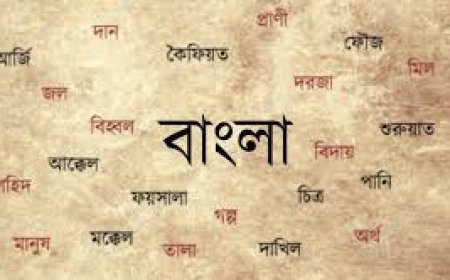 বাংলা ভাষার মালিকানা বিতর্ক