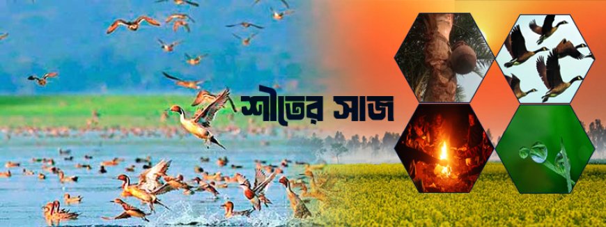 শীতের সাজ