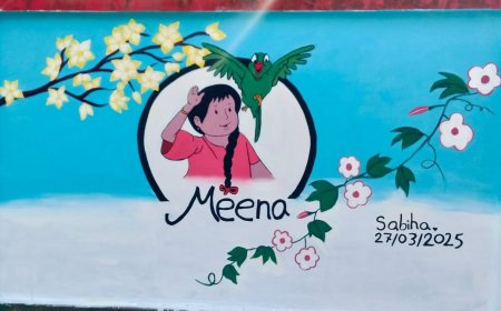 সাবিহা'র তৃতীয় দেয়ালচিত্র UNESCO এর 'Meena'। উল্লেখ্য, প্রথম ও দ্বিতীয় প্রচেষ্টা ছিল যথাক্রমে 'টম-জেরি' ও 'মোটু-পাতলু'।