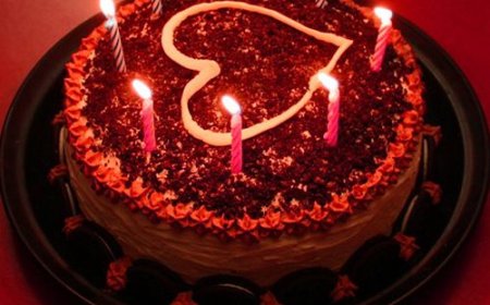 জন্মদিবস-স্তুতি