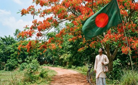 কৃষ্ণচূড়া