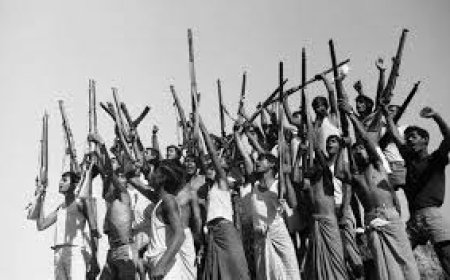 The War in 1971